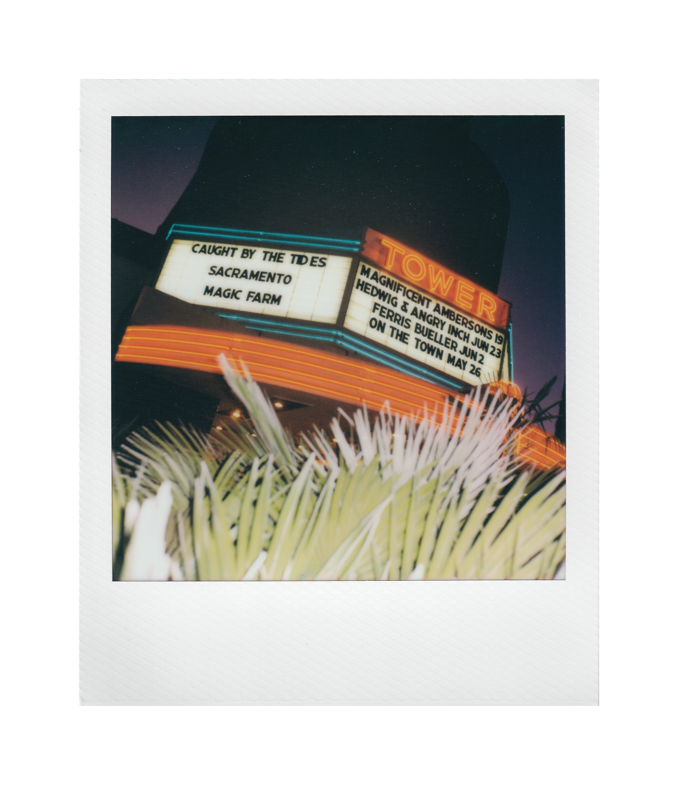 Photography by Kehan Zhao