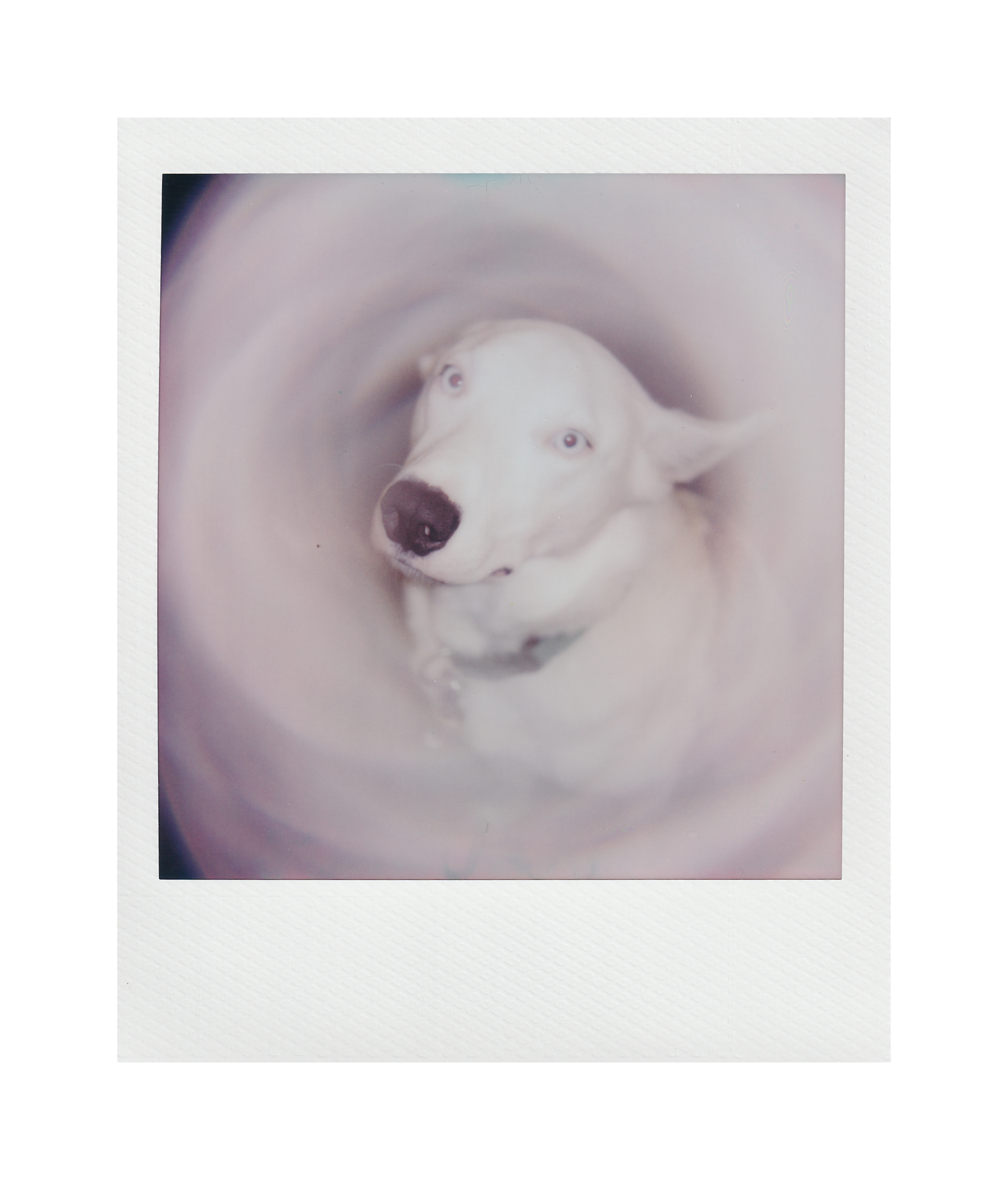 Photography by Kehan Zhao