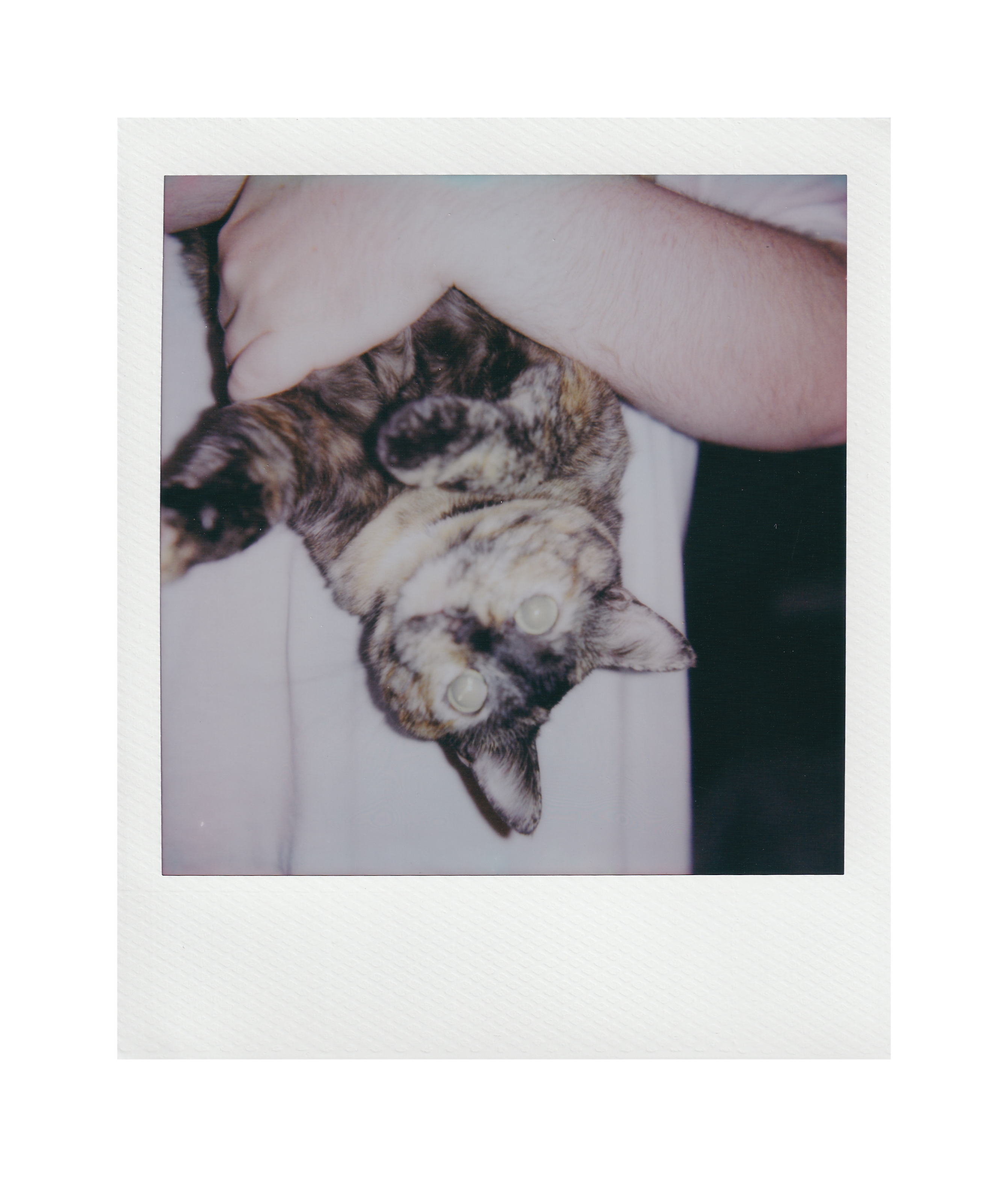 Photography by Kehan Zhao