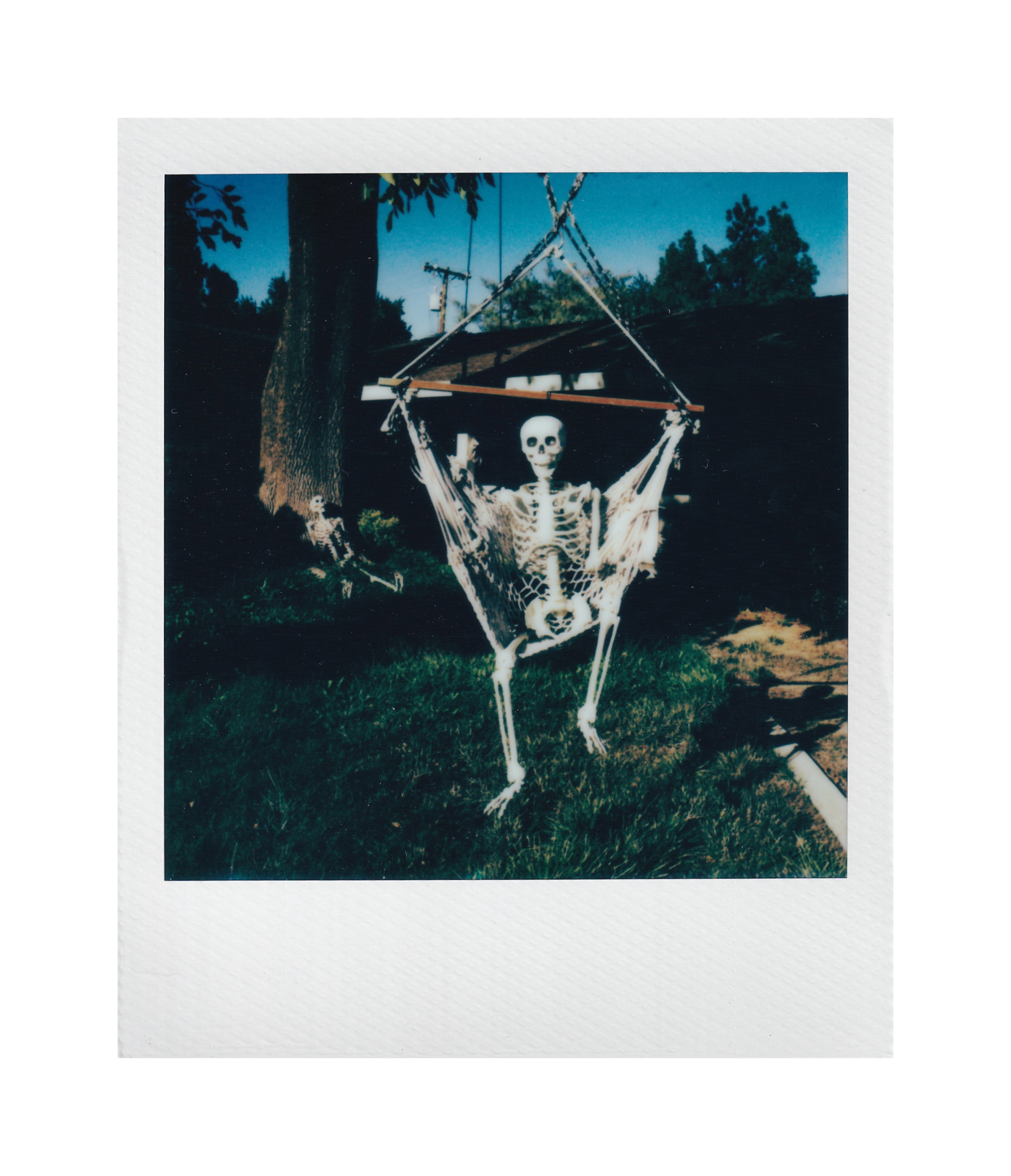 Photography by Kehan Zhao