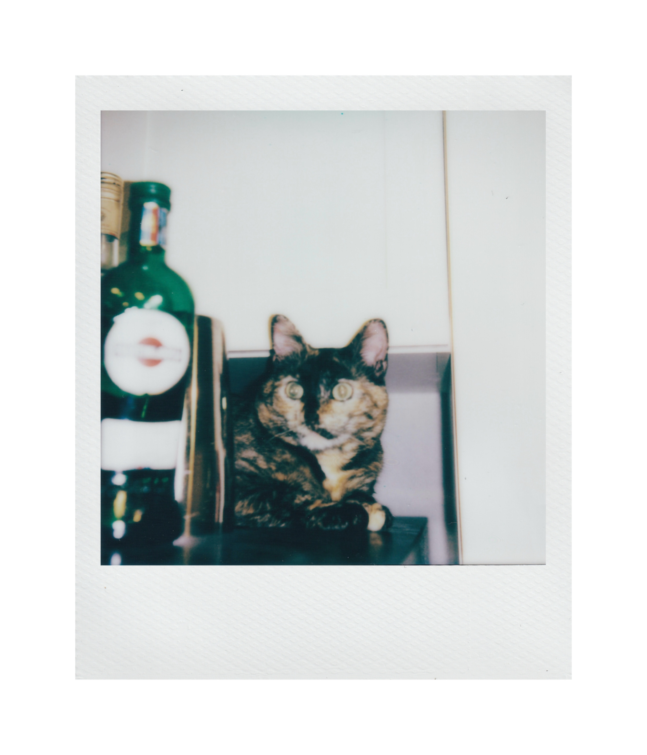 Photography by Kehan Zhao